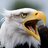 Eagle1